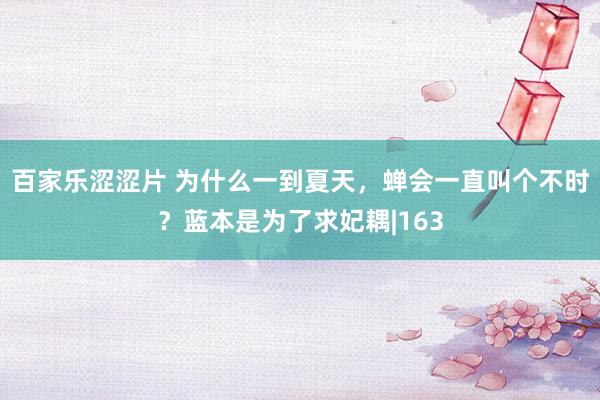 百家乐涩涩片 为什么一到夏天，蝉会一直叫个不时？蓝本是为了求妃耦|163