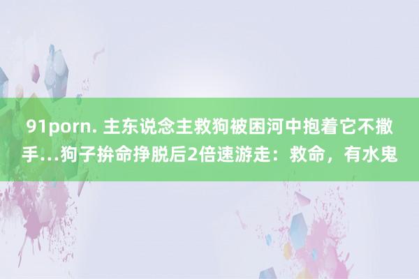 91porn. 主东说念主救狗被困河中抱着它不撒手…狗子拚命挣脱后2倍速游走：救命，有水鬼