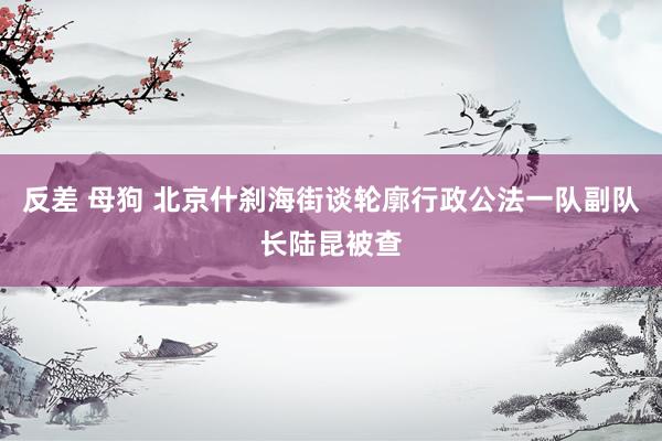 反差 母狗 北京什刹海街谈轮廓行政公法一队副队长陆昆被查