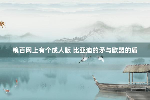 糗百网上有个成人版 比亚迪的矛与欧盟的盾