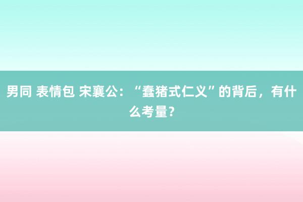 男同 表情包 宋襄公：“蠢猪式仁义”的背后，有什么考量？
