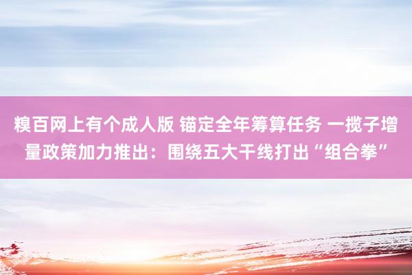 糗百网上有个成人版 锚定全年筹算任务 一揽子增量政策加力推出：围绕五大干线打出“组合拳”