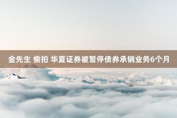 金先生 偷拍 华夏证券被暂停债券承销业务6个月