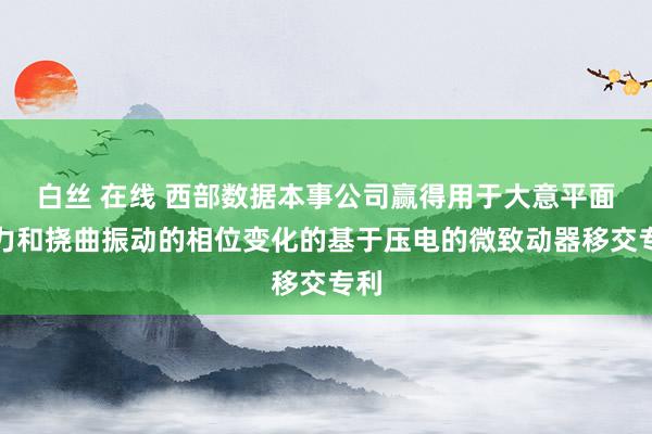 白丝 在线 西部数据本事公司赢得用于大意平面外力和挠曲振动的相位变化的基于压电的微致动器移交专利