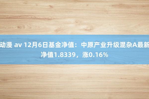 动漫 av 12月6日基金净值：中原产业升级混杂A最新净值1.8339，涨0.16%
