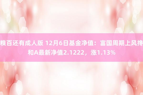 糗百还有成人版 12月6日基金净值：富国周期上风搀和A最新净值2.1222，涨1.13%