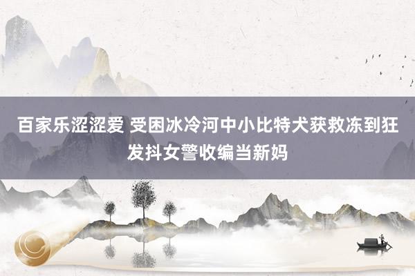百家乐涩涩爱 受困冰冷河中小比特犬获救冻到狂发抖女警收编当新妈