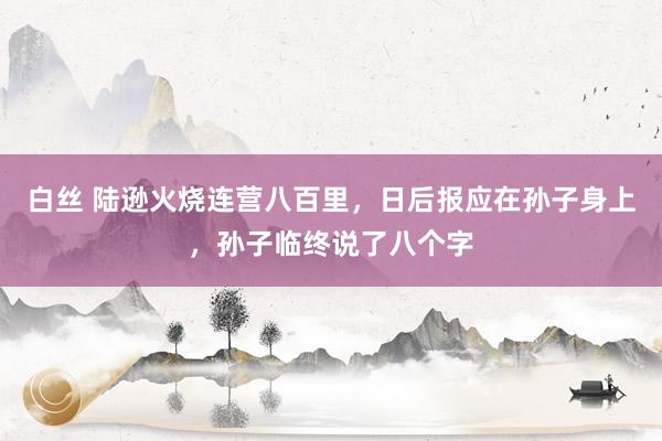 白丝 陆逊火烧连营八百里，日后报应在孙子身上，孙子临终说了八个字