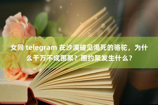 女同 telegram 在沙漠碰见渴死的骆驼，为什么千万不成围聚？围约聚发生什么？