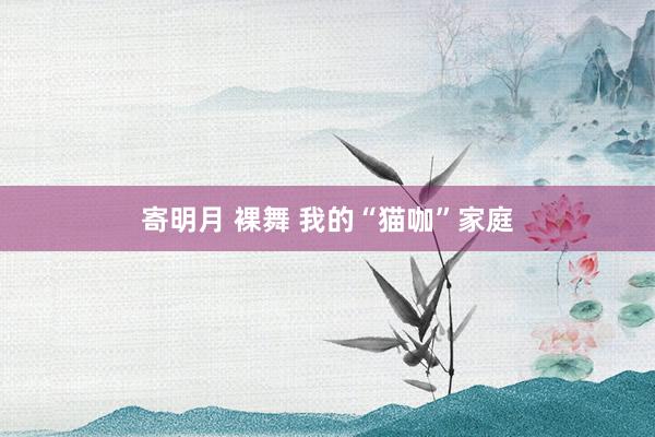 寄明月 裸舞 我的“猫咖”家庭